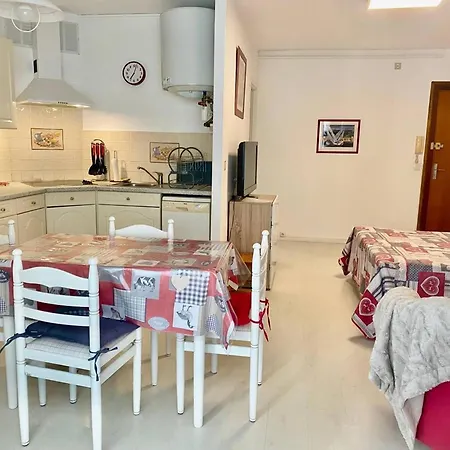 Equipe Avec Loggia, Parking Et Wi-fi A 50m Des Cures - 2 Pers - Animaux Ok - Fr-1-703-22 Amélie-les-Bains-Palalda