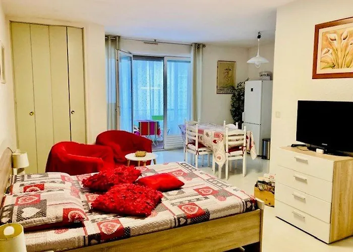 Equipe Avec Loggia, Parking Et Wi-fi A 50m Des Cures - 2 Pers - Animaux Ok - Fr-1-703-22 דירה אמלי-לה-באינס-פללדה